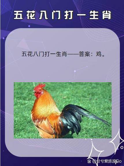答案指的是什么生肖_答案指的是什么生肖动物