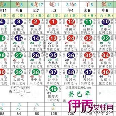 关于今期生肖是什么波头色的生肖动物的信息