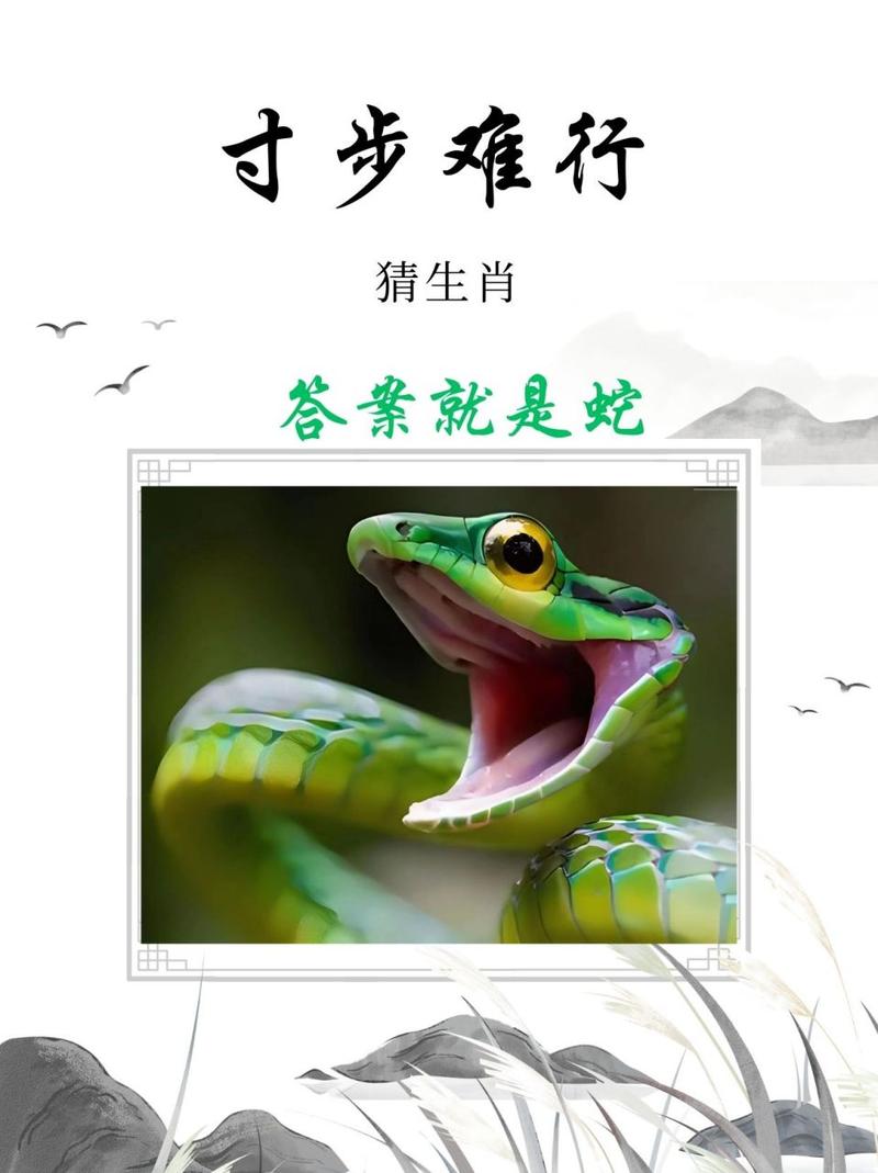 关于今期特在蛇身什么生肖请解释的信息