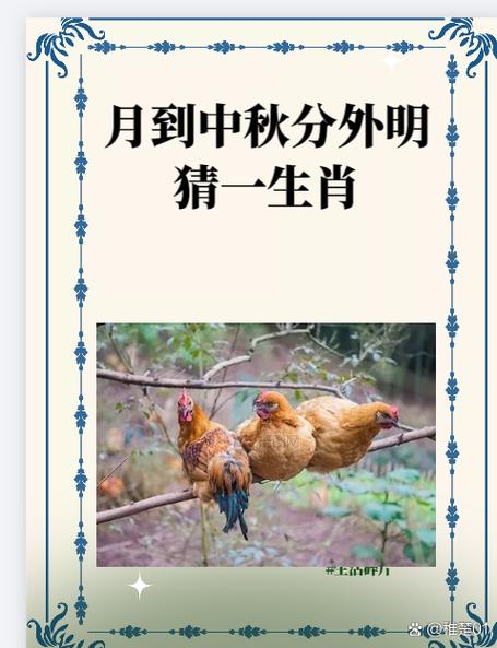 治打一生肖最佳答案的简单介绍