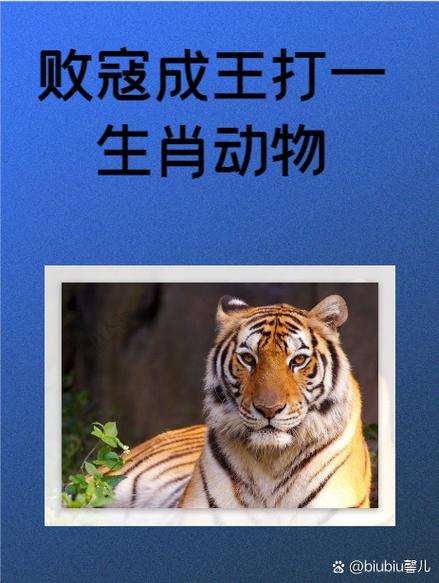 灌打一生肖动物_灌是一种什么动物