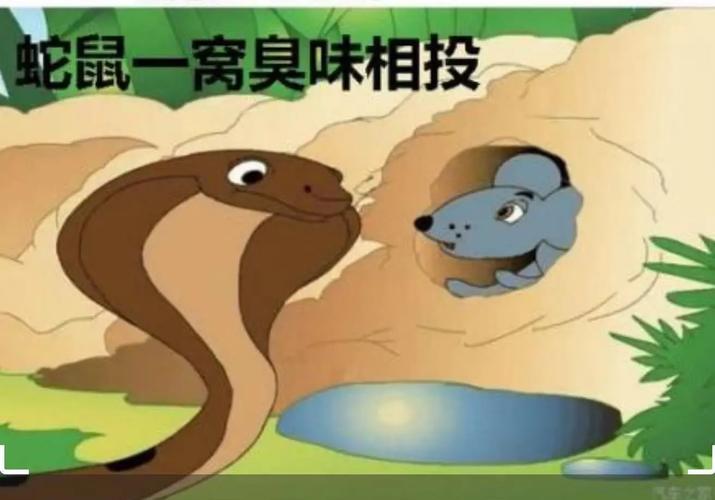 蛇鼠一窝打一生肖指的是什么生肖的简单介绍