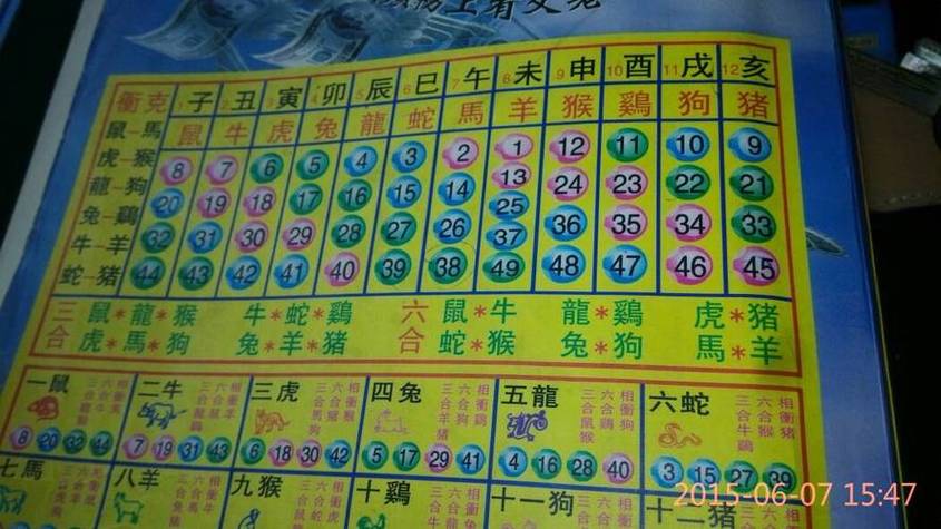 今期生肖最好查是指什么生肖_今期生肖最好查指什么生肖数字