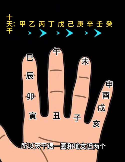 耆打一生肖_耆打一生肖?