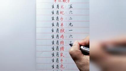 半字打一最准确生肖_半代表什么生肖或数字
