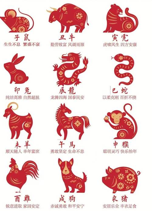 今期生肖最好查打一数字几_今期生肖最简单代表什么数字