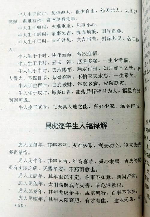 属虎生什么生肖孩子最旺_属虎的生什么属相的宝宝不好
