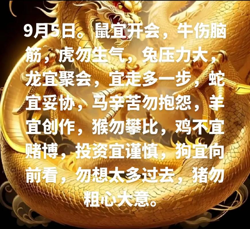 向前看打一生肖_向前看打一字是什么