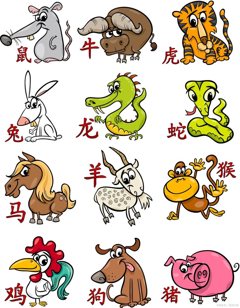 等字打一生肖动物_等字打一生肖动物是什么