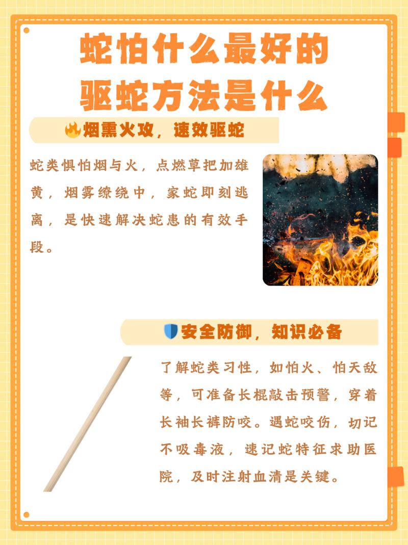 “强龙不压地头蛇，秋去冬来终反抗”打一个生肖动物的简单介绍