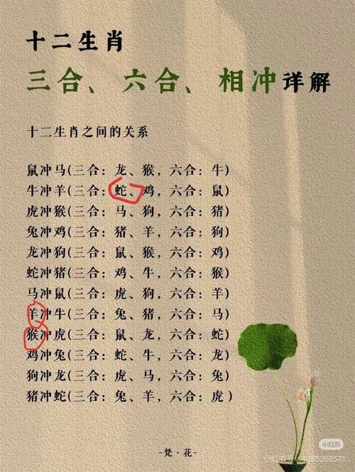 老态龙钟食水汤打一生肖_老态龙钟是什么生肖动物生肖