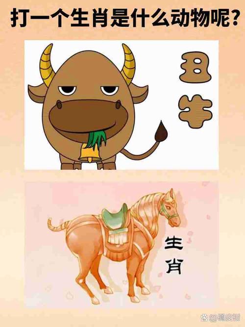打一生肖猜动物_打一个动物是什么