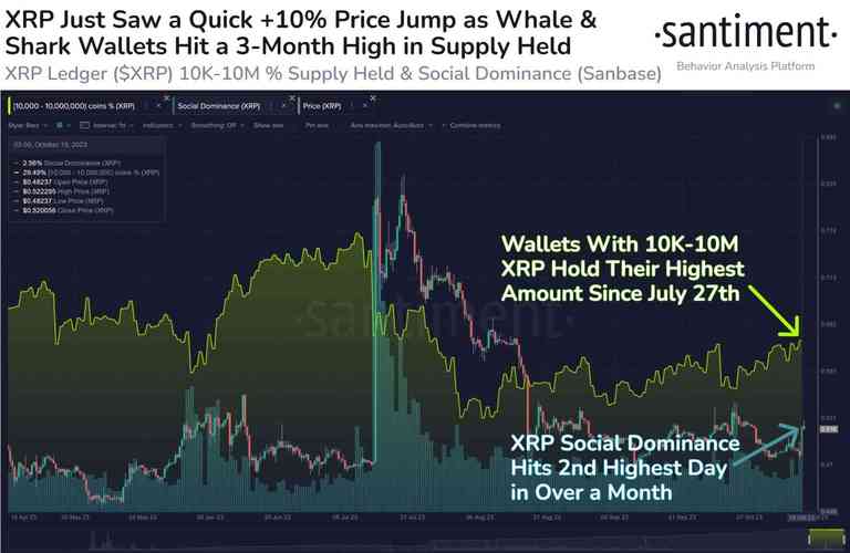 xrp币未来前景_xrp币能涨到多少一个