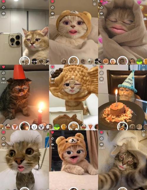 snapchat特效名称_软件snapchat 特效anim