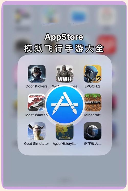 苹果飞机中文版下载安装_苹果飞机软件怎么设置中文