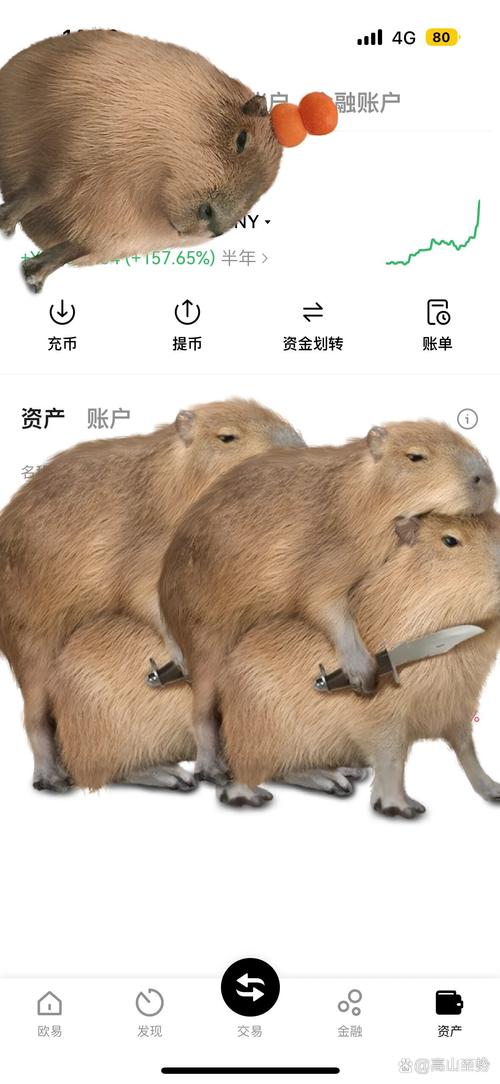 狗狗币是什么东西,怎么产生的_狗狗币是什么东西,怎么产生的呢