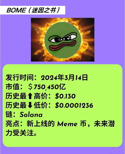 stardoge币最新消息今天的简单介绍
