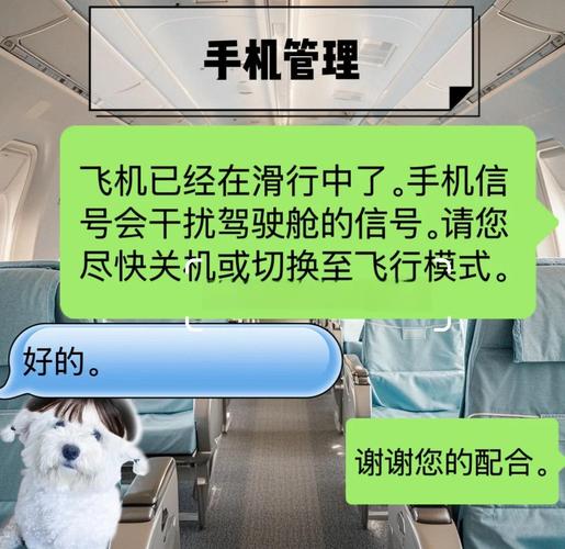 安卓手机怎么安装飞机_安卓手机安装飞机不安全吗