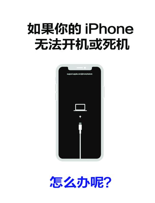 国内苹果怎么用不了纸飞机_为什么苹果纸飞机进不了频道