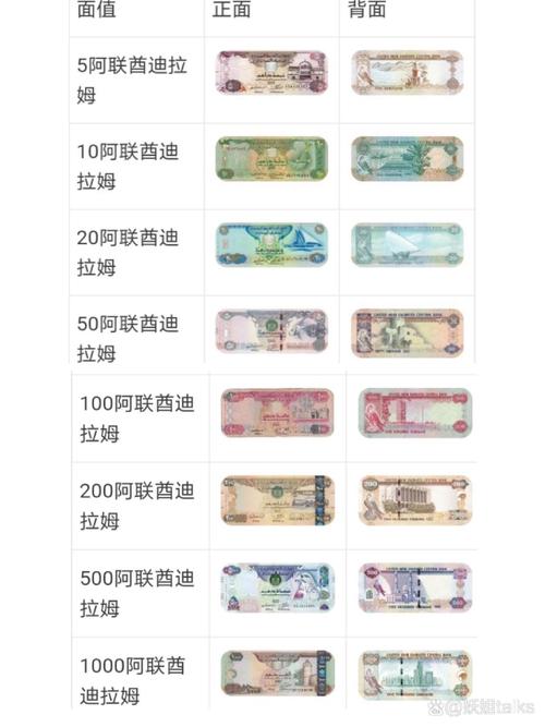 索拉迪是什么币_索迪拉特陶瓷怎么样