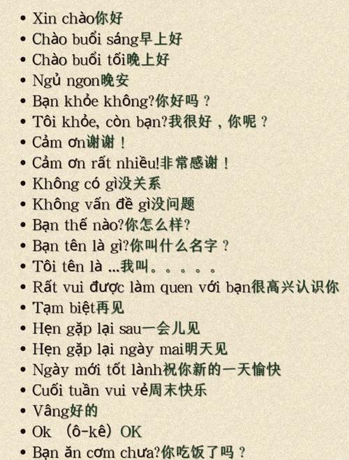 越南zalo怎么翻译成中文_越南聊天软件zalo中文版怎么可以翻译中文