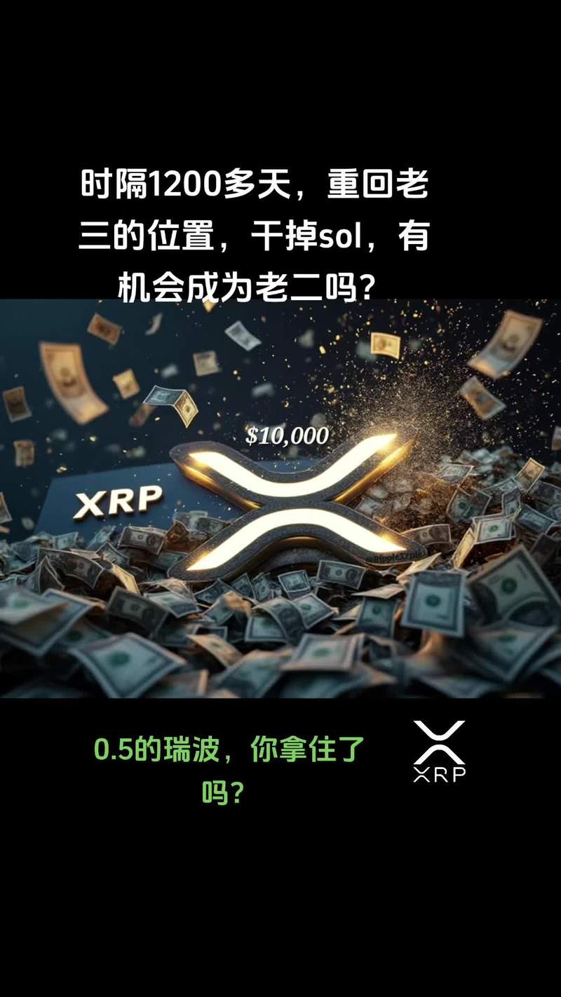 瑞波币钱包官网_瑞波币钱包地址查询