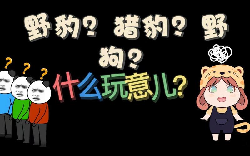 猎豹加速器犯法吗_猎豹加速器安全不?