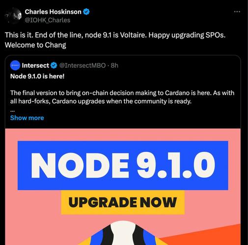 卡尔达诺哪个国家的_卡尔达诺cardano项目
