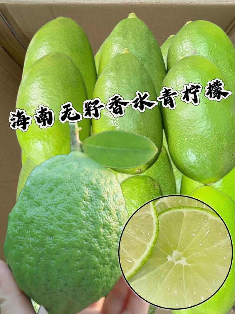 青柠英文_柠檬青柠英文