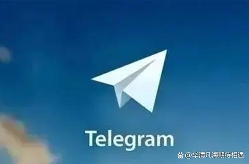 [纸飞机app怎么看视频]纸飞机视频app下载安卓版