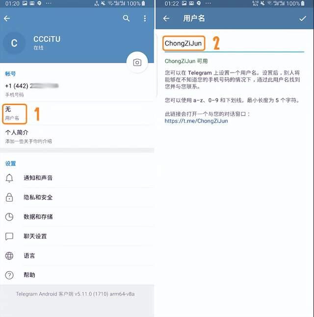 包含telegramAPP链接的词条