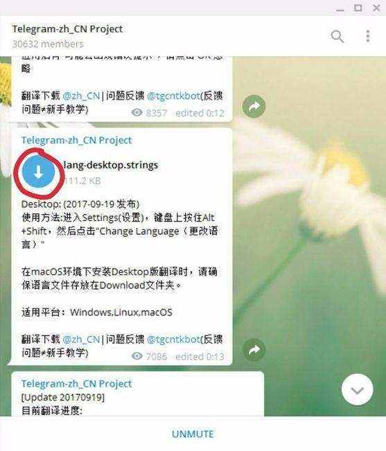 包含Telegram用什么加速器快的词条