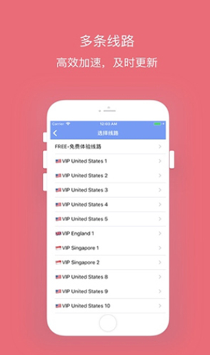 关于Telegram用什么加速器能进去的信息