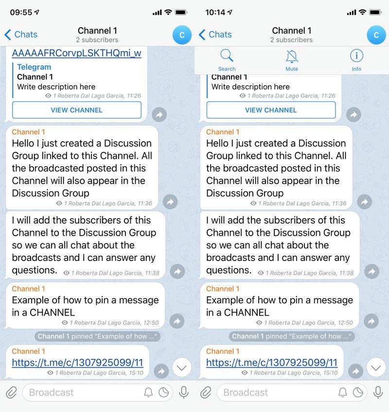 telegram电报怎么翻译成汉字的简单介绍