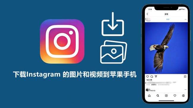 关于telegreat中文手机版下载ios语言设置的信息