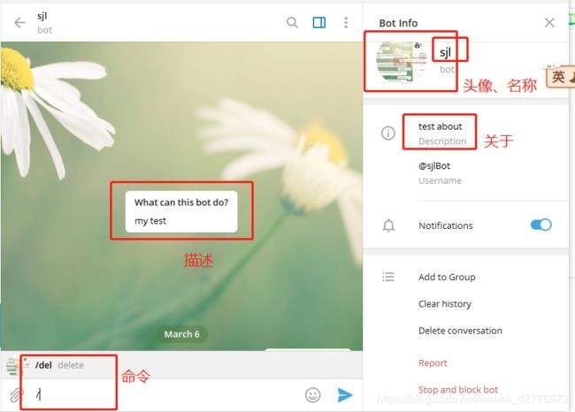 Telegram添加好友在哪里的简单介绍