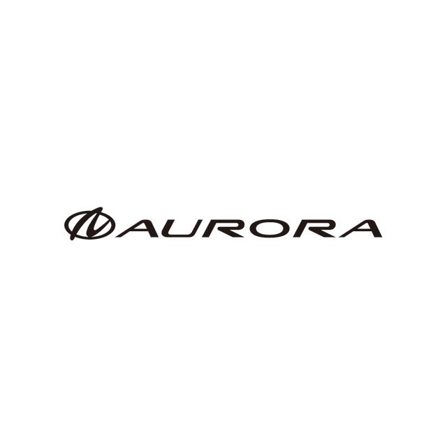 [aurora加速器]aurora加速器怎么用