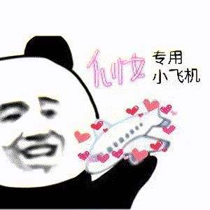 [飞机中文语言包链接]飞机怎么用中文语言包