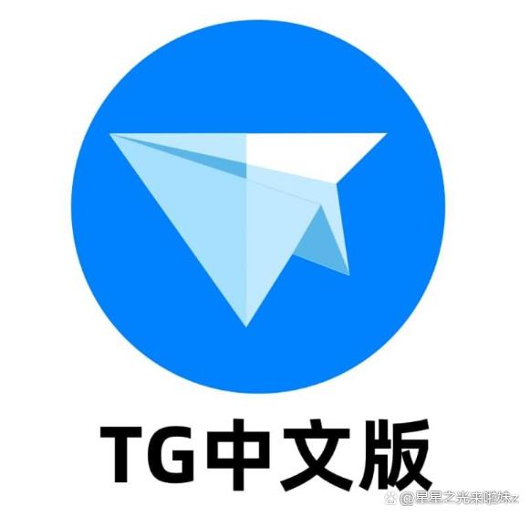 纸飞机中文语言包怎么下载的简单介绍