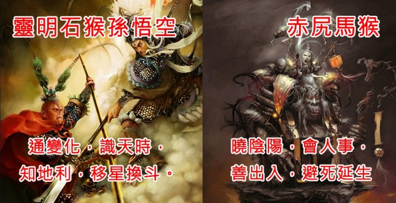 [孙悟空电报猴无消音视频]孙悟空电报员原视频无消音