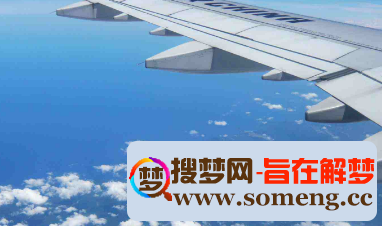 [airplanes什么意思]airplanes是什么意思中文翻译