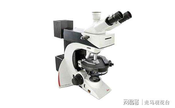 包含microscope怎么记忆的词条