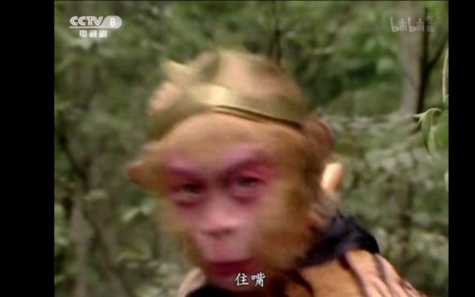 电报猴骂人无消音的简单介绍