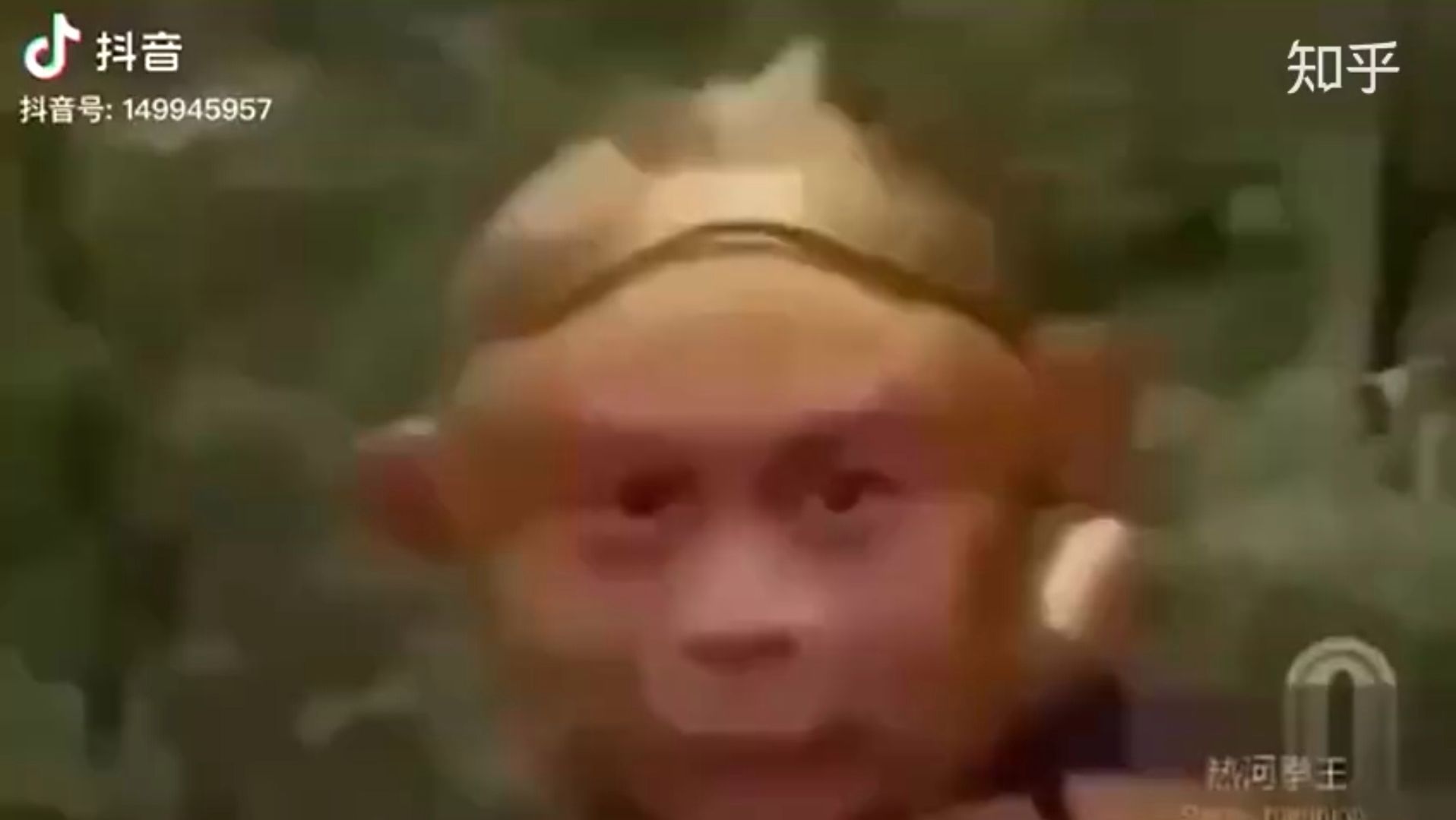 电报猴骂人无消音的简单介绍