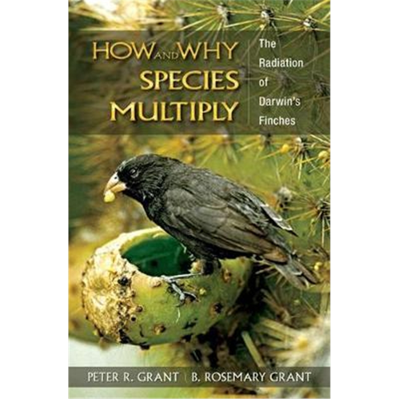 [species]species单数