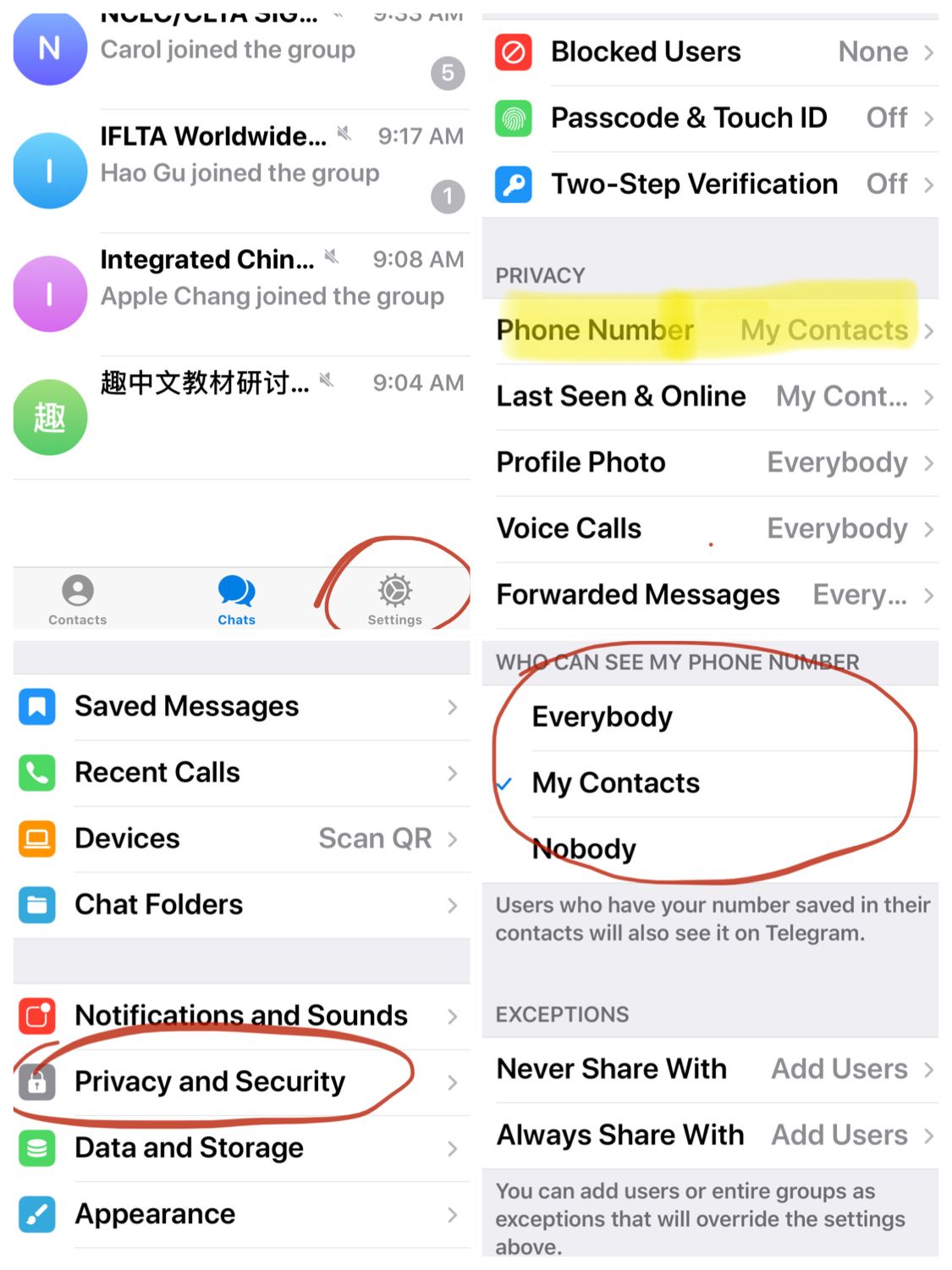 [telegreat怎么调中文版]telegreat简体中文语言包