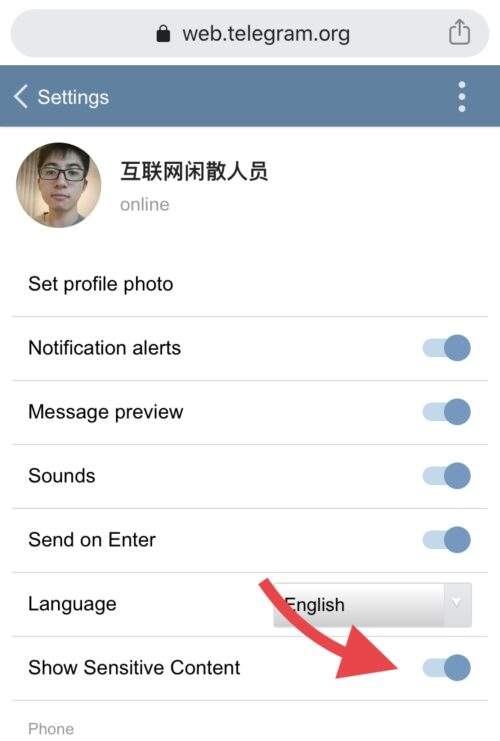 [telegeram网页版]telegeram中文版下载
