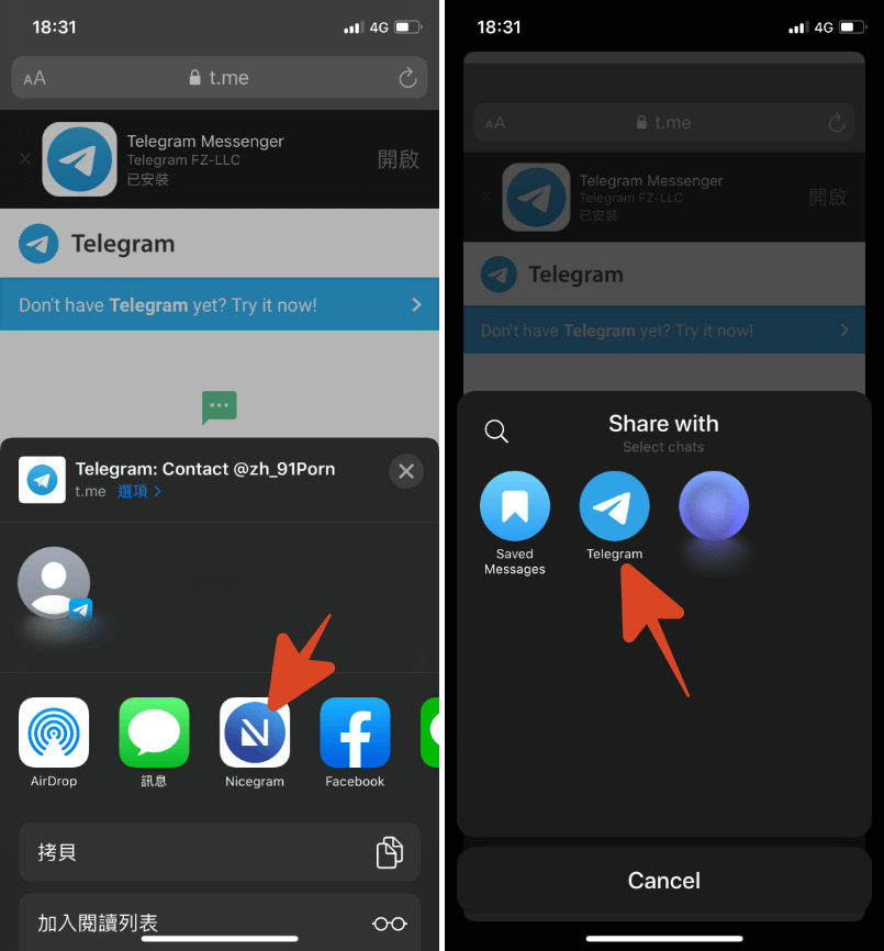 [telegram小视频分享组]telegram怎么设置18+