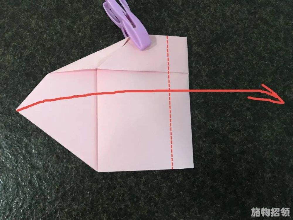 [纸飞机接码注册]纸飞机账号怎么注册