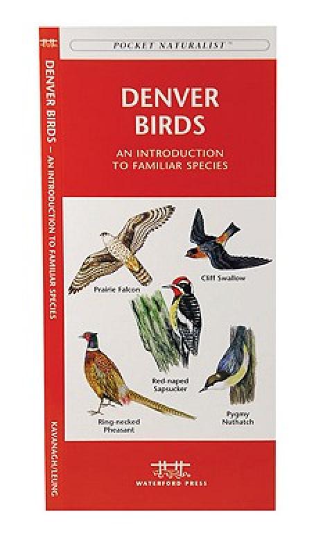 [species]species中文翻译